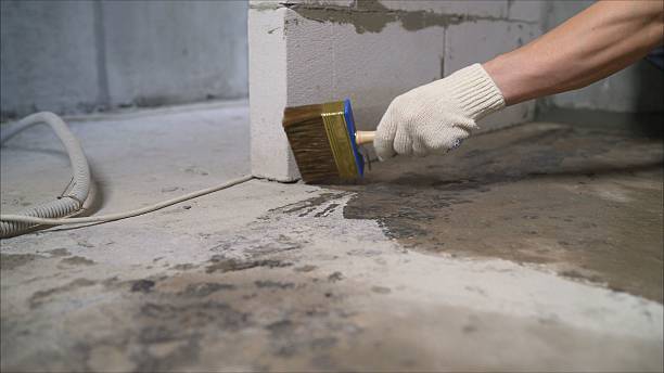 SJ Waterproofing Pros Basement Waterproofing coverage map for Caledonia, MN and surrounding area